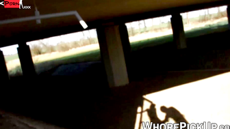 Redheaded Vixen Gives Road Head in Car - PornPros