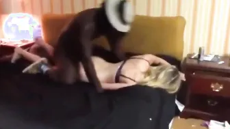 Monstrous bull dominates fiance cuckold