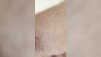 Homedog