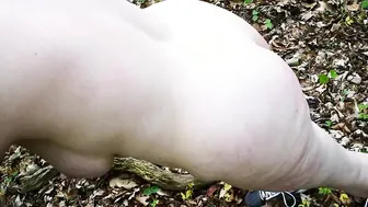Whipping into the woods