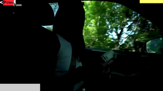 Hot MILF Gives barely legal Guy an Unforgettable Car-Riding Experience