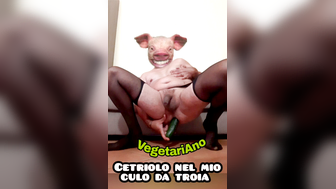 Cetriolo nel mio culo