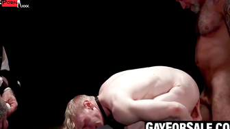 GayForSale.com - Jesse Stone screams taking Lance Charger's big throbbing cock