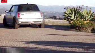 Young hitchhiker Rylee Renee cumshot