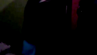 Seductive Vixen - Erotic Roleplay Scenario Ends With Sex