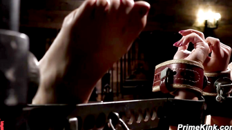 Nicole Aria BDSM Dungeon Discipline