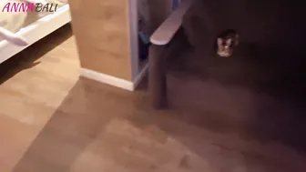 Next Door saw me masturbating when he came inside my house.