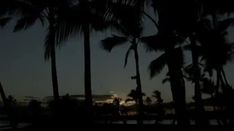 Chinese Hawaii
