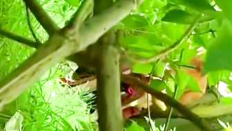 Hooker Gives Wild BJ and Sex in the Woods