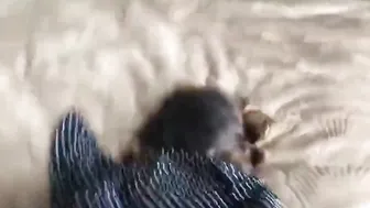 Friend tie my hands fucking me and cum on my