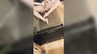 COUGAR CAUGHT MASTURBATING - Step Son Secretly Watching