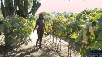 Black Ebony gigantic natural breasts cougar performer Shasta Wonder gets naked public