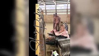 What were you Raised into a Barn ? well Bo but i