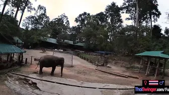 Elephant ride into Thailand with teens lovers who had sex afterwards