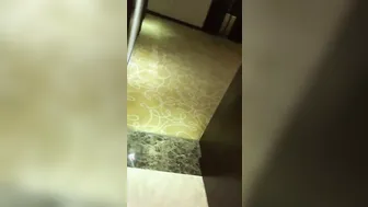 Asian MILF screwed