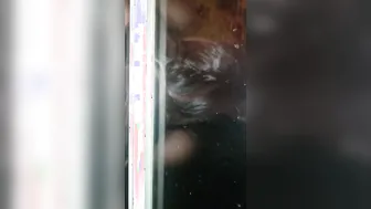 Stuck into Window Anal for eastern Ex-Wife with Stranger