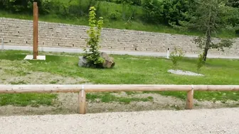 Stranger Dark Hair inside the Outdoors Park Accepts to Strokve that Dick for