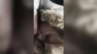 Pipe porn video – Pipe dans la voiture