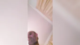 Send off for M8