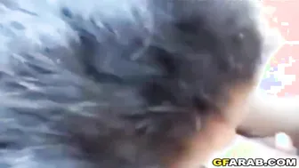 3rabe one hijab Lebanese sex