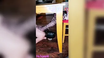 Feeding my Leashed Fem Dom Toes Sub MMs W/ my Fishnet Toes under