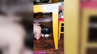 Feeding my Leashed Fem Dom Toes Sub MMs W/ my Fishnet Toes under