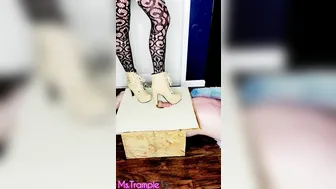 Female Domination Penis Box Trample with High Heel Boots and Adidas Superstar Sneakers