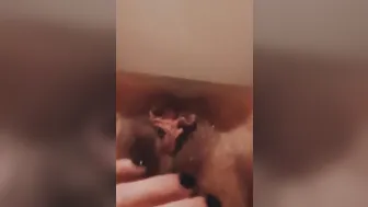 CUTIE milf FINGER BANG UNSHAVED BUSH WITH HUGE CUNT LIPS