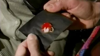 Ring of Desire