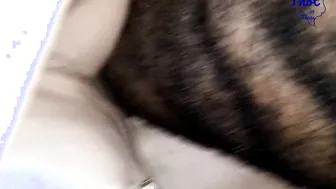 Thot into Texas - Twat Rub Jizzed on Black Stomach Creapie Internal Interracial Hispanic milf Houston