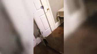Women next Door came by for a Swallow