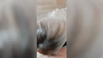 Thai Grind Happy ending $15 (he Jizzes so Fast). Premature Ejaculation Slow HEAD becomes so Sloppy