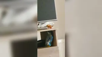 Step Milf Noisy Pounded with Step Son - Hope the Neighbours didnt Hear