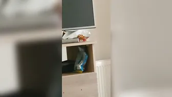 Step Milf Noisy Pounded with Step Son - Hope the Neighbours didnt Hear
