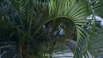 BAE TAMIL AUNTY SEX INTO A SEX FILM