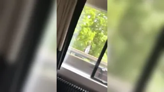 Long Lightskin Cock is her God