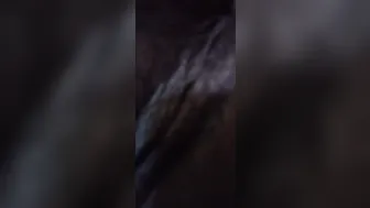 Christmas Day Backshots