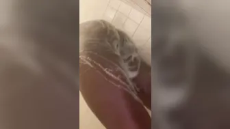 Hubby Sneak Records Goddess African cougar inside Shower Pt.one