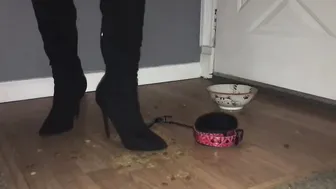 Feet Bondage Human Pet
