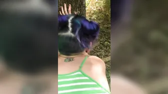 Little Blue - into the Woods