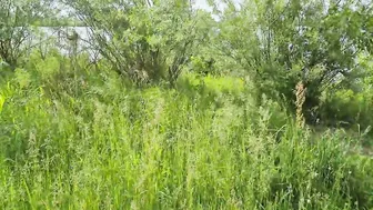 Man outside jerk off penis near stranger bimbos - COMPILATION