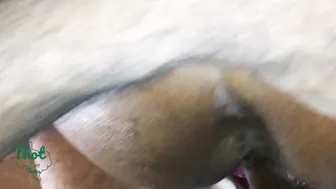 Thot into Texas - this Week on Thot into Texas Houston Thots being so Nasty
