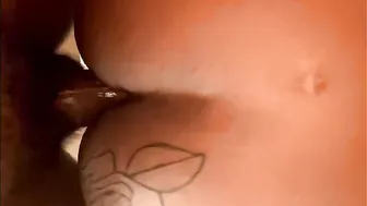 Anal Cream Pie