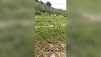 Bj into the field Alex pees inside Desire’s mouth? Farmer