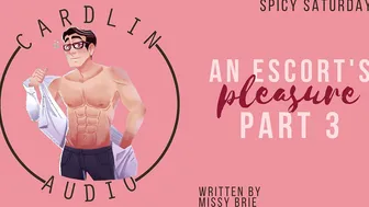 [M4F] an Escorts Satisfaction Pt. three [male Moaning] [light BDSM] [MDom] [male Escort]