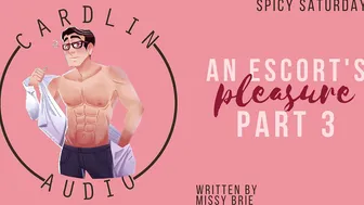 [M4F] an Escorts Satisfaction Pt. three [male Moaning] [light BDSM] [MDom] [male Escort]