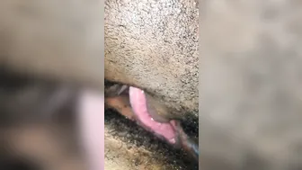 SHE WANTED ME TO SUCK ON THAT CLITORIS AGAIN