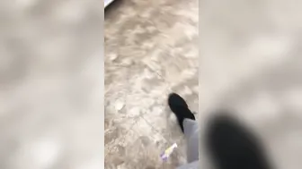 bbc Bulg Rubbing on Butt inside Outdoor
