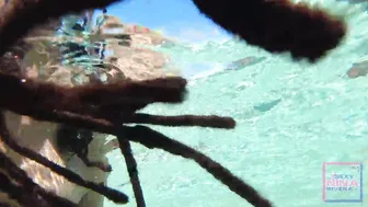 Underwater Vagina Eating inside the pool with Nina Rivera and Sully Savage
