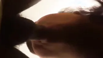 MAMA CACHORRA MAMA CACHORRA
